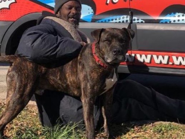Homeless Man Rescues All Animals at Shelter After It Catches Fire - Vimarsana News