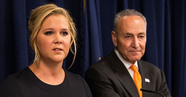 Amy Schumer Tells Georgians They Will Decide the Future of America