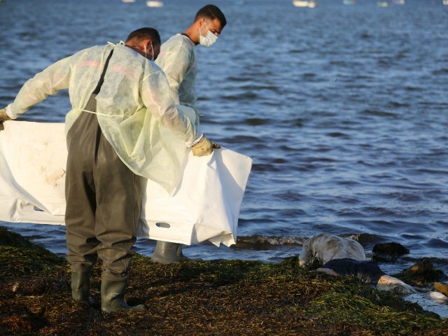 Tunisian civil protection workers recover the body of an African migrant near the eastern city of Zarzis, on July 16, 2019. - A string of deadly shipwrecks since May have left Tunisia overwhelmed with bodies and struggling to find them a final resting place. More than 80 drowned migrants have …