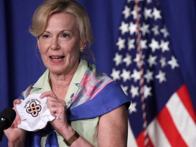 WASHINGTON, DC - JULY 08: White House coronavirus response coordinator Deborah Birx holds