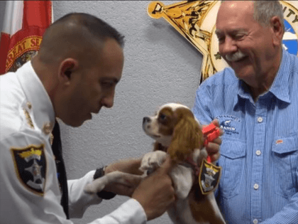 Gunner the puppy gets deputized