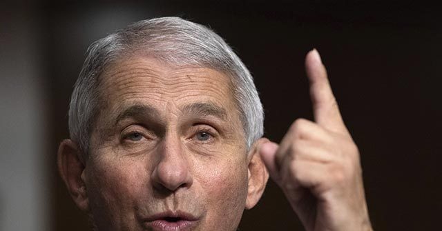 Fauci: People Who Have Conspiracy Theories, Deny Reality 'Don't Particularly Care for Me'