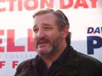 Cruz: Folks Pushing to Not Vote in Georgia Have ‘Different Agenda’