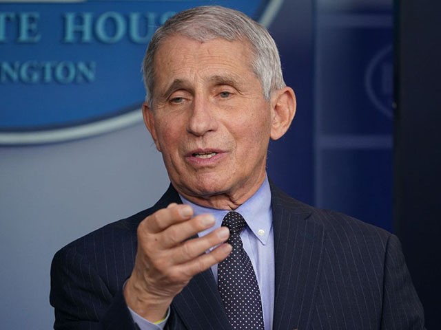 Director of the National Institute of Allergy and Infectious Diseases Anthony Fauci speaks during the daily briefing in the Brady Briefing Room of the White House in Washington, DC on January 21, 2021. (Photo by MANDEL NGAN / AFP) (Photo by MANDEL NGAN/AFP via Getty Images)