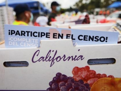 PARAMOUNT, CALIFORNIA - AUGUST 06: A pamphlet with 2020 census information written in Spanish is included in a box of food to be distributed by the Los Angeles Regional Food Bank to people facing economic or food insecurity amid the COVID-19 pandemic on August 6, 2020 in Paramount, California. Around …