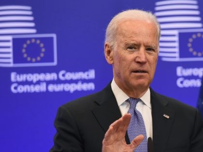 US Vice President Joe Biden speaks during a meeting with European Union President Donald T