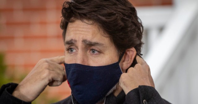Canada Braces for Wave of Bankruptcies After Ending Pandemic Support