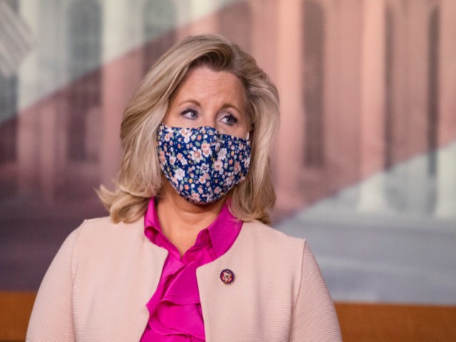 U.S. Rep. Liz Cheney (R-WY) wears a mask during a news conference with other Republican me