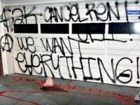 Report: Nancy Pelosi's Home Vandalized with Pig's Head, Fake Blood