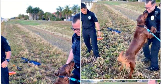 Florida Police Officers Rescue Family's Dog from Drowning in Canal