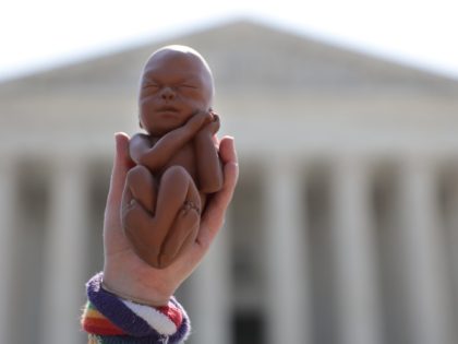WASHINGTON, DC - JUNE 22: A pro-life activist holds up a model of a fetus during a protest in front of the U.S. Supreme Court June 22, 2020 in Washington, DC. The Supreme Court is expected to issue a ruling on abortion rights soon. (Photo by Alex Wong/Getty Images)