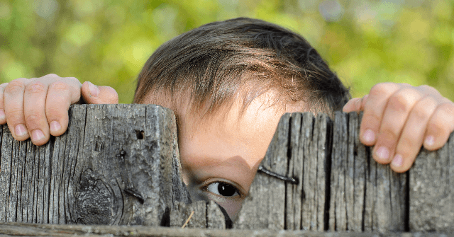 Top Tory MPs Horrified by Govt Plan to Recruit Children to Spy on Parents