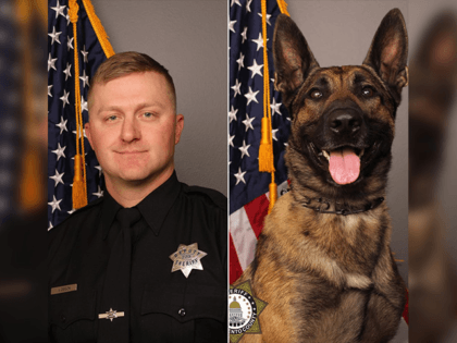 Deputy Adam Gibson, a 31-year-old, 6 year veteran of the department, was pronounced deceased at the hospital. A second deputy was stabilized and transported to a trauma center for further treatment. K-9 Riley also died at the scene. K-9 Riley was 5 years old and had been in-service with our …