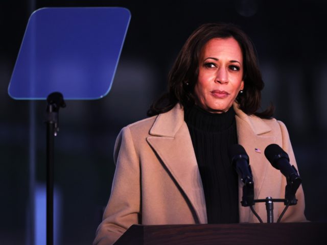 WASHINGTON, DC - JANUARY 19: Vice President-elect Kamala Harris speaks at a memorial for v