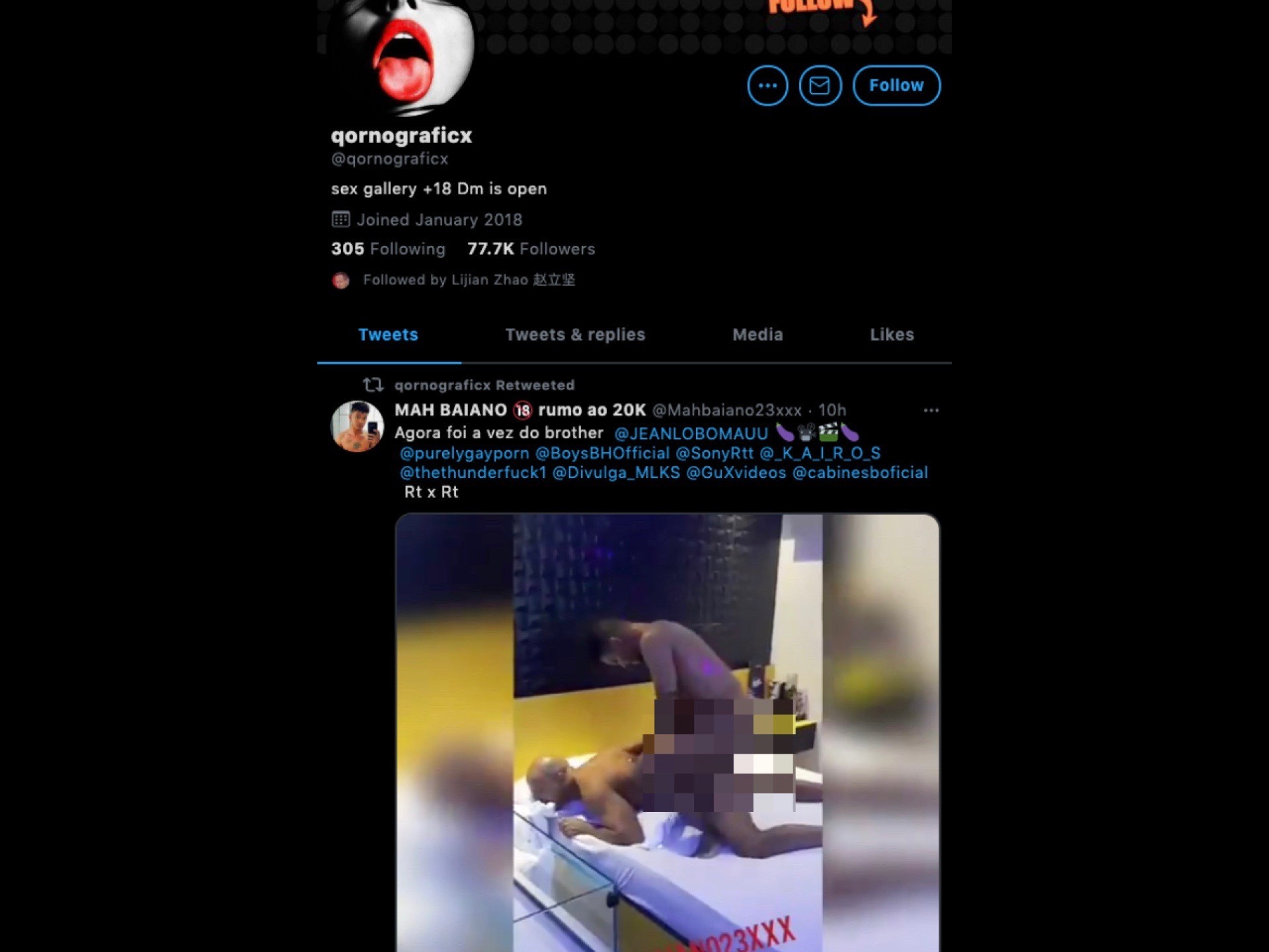 Screencap of the qornograficx Twitter account, followed by Chinese Foreign Ministry Spokesman Zhao Lijian, February 11, 2021. Kurt Zindulka, Breitbart News