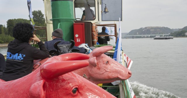 EU Quality! 'Unfit' Shipload of Cattle to be Killed After Two Months at Sea