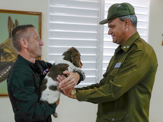 French police dog expert David Berceau (L) gives a canine donated by the French government to a Cuban official to promote the breeding of Springer Spaniel breed in Cuba, in Havana, on September 27, 2019. - The canines will be used as sniffer dogs by Cuban authorities. (Photo by ADALBERTO …