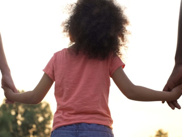 Dutch Stop International Adoptions After 'Stolen Children' Revelations - Vimarsana News
