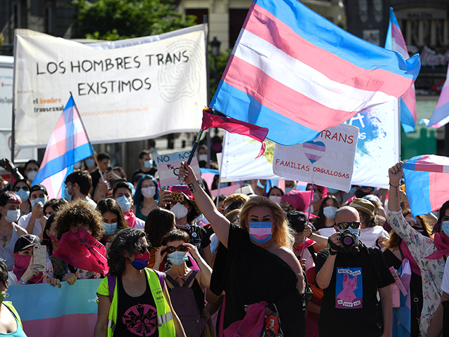 Protesters wearing face masks wave trans flags during a demonstration calling for more rig