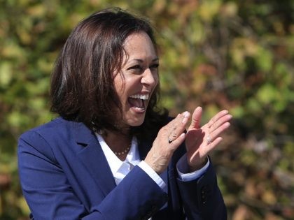 Then VP candidate Kamala Harris. (Photo by Brian Blanco/Getty Images)