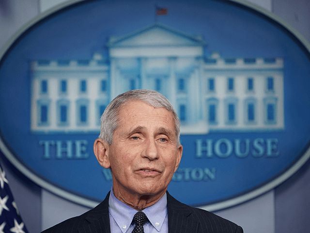 Director of the National Institute of Allergy and Infectious Diseases Anthony Fauci speaks