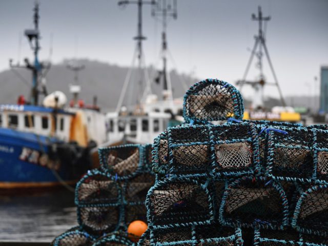 TARBERT, SCOTLAND - JANUARY 13: Fishing boats are seen at Tarbert Harbour on January 13, 2021 in Tarbert, Scotland. The Scottish Fishing industry says it is losing £1 million per day post-Brexit as EU customers are cancelling orders. Hauliers are refusing to take multi-product loads to Europe where they have …