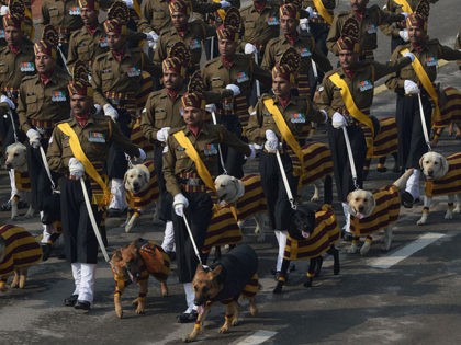 The Indian Army dog squad march during the full dress rehearsal for the upcoming Indian Republic Day parade on Rajpath in New Delhi on January 23, 2016. French soldiers will march down Rajpath on Republic Day along with Indian troops in the presence of President Francois Hollande, who is the …