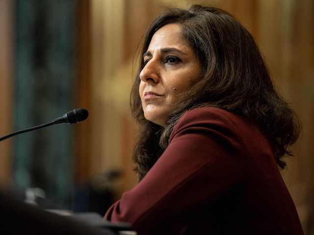 Chuck Schumer Seeks GOP Support to Confirm Neera Tanden; Susan Collins Announces Opposition