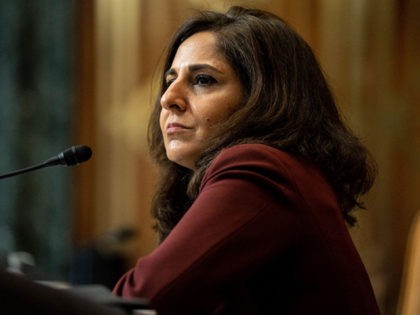 WASHINGTON, DC - FEBRUARY 10: Neera Tanden, nominee for Director of the Office of Management and Budget (OMB), testifies at her confirmation hearing before the Senate Budget Committee on February 10, 2021 at the U.S. Capitol in Washington, DC. Tanden helped found the Center for American Progress, a policy research …
