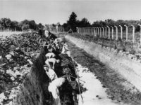 DOJ Deports Former Nazi Camp Guard to Germany