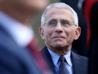 Fauci: 'Could Be Close' to Normal by the End of the Year