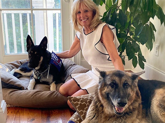 jill-biden-german-shepherds