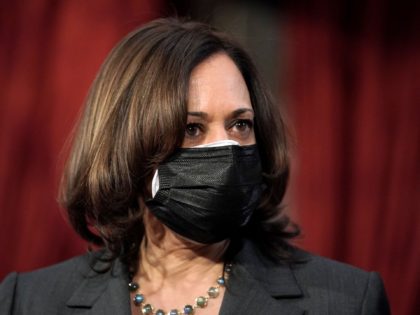 Vice President Kamala Harris is seen during a ceremonial swearing in photo op for Democrat