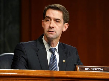 WASHINGTON, DC - JANUARY 19: Sen. Tom Cotton (R-AR) questions President-elect Joe Biden's nominee for Secretary of Defense, retired Army Gen. Lloyd Austin at his confirmation hearing before the Senate Armed Services Committee at the U.S. Capitol on January 19, 2021 in Washington, DC. Previously Gen. Austin was the commanding …