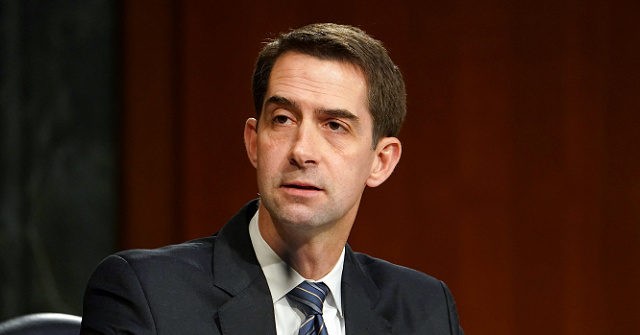 Cotton: Putin Has Watched Biden and Now Thinks He Can Get Away with Invading Ukraine