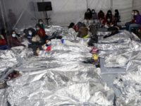 Report: Biden Deploying Federal Workers from Various Agencies to Oversee Child Migrants for $62M a Week