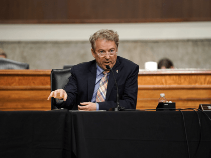 Sen. Rand Paul, R-Ky., speaks during a Senate Committee on Homeland Security and Governmental Affairs and Senate Committee on Rules and Administration joint hearing Wednesday, March 3, 2021, examining the January 6, attack on the U.S. Capitol in Washington. (Greg Nash/Pool via AP)