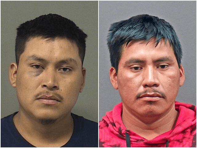 A pair of illegal alien brothers have been charged with …