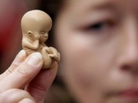 U.S. Bishops Launch Campaign Against ‘Taxpayer-Funded Abortion’