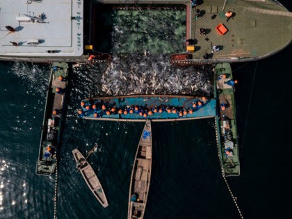 TOPSHOT - This aerial picture taken on March 29, 2018 shows Chinese fishermen drawing a ne