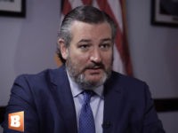 Cruz Urges GOP to ‘Grow a Backbone,’ ‘Stand Up’ to ‘Woke’ Corporate America