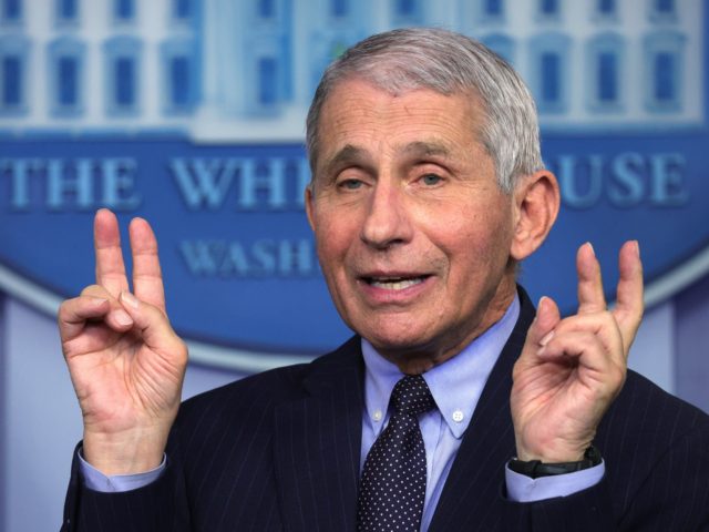 WASHINGTON, DC - JANUARY 21: Dr Anthony Fauci, Director of the National Institute of Allergy and Infectious Diseases, speaks during a White House press briefing, conducted by White House Press Secretary Jen Psaki, at the James Brady Press Briefing Room of the White House January 21, 2021 in Washington, DC. …