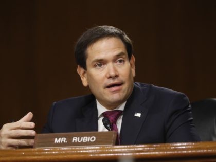 Sen. Marco Rubio, R-FL, speaks during a Senate Intelligence Committee nomination hearing f