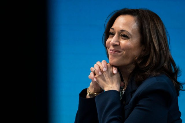 WASHINGTON, DC - FEBRUARY 5: U.S. Vice President Kamala Harris attends a virtual roundtable event with participants from local Black Chambers of Commerce on February 5, 2021 in Washington, DC. Topics discussed included the Biden administration's $1.9 trillion Covid-19 relief package and how the pandemic has affected local businesses. (Photo …