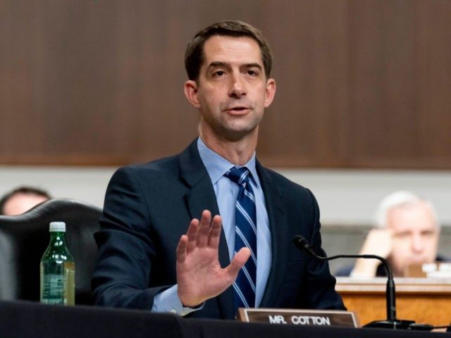 WASHINGTON, DC - MARCH 25: Sen. Tom Cotton (R-AR) speaks during a hearing to examine United States Special Operations Command and United States Cyber Command in review of the Defense Authorization Request for fiscal year 2022 and the Future Years Defense Program, on Capitol Hill on March 25, 2021 in …