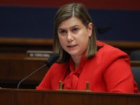 Democrat Elissa Slotkin Rails Against Pelosi’s Move to Overturn Iowa 2nd District Election