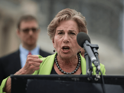 Dem Rep. Schakowsky: IL Has ‘Very Strong’ Gun Laws and Parade Shooter Shouldn’t Have Had Gun, But ‘Mainly’ Need Assault Weapons Ban