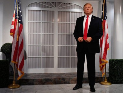 WASHINGTON, DC - JANUARY 18: Madame Tussauds Washington, DC and attractions in New York, Orlando and London launched its new wax figure of Donald J. Trump at Madame Tussauds on January 18, 2017 in Washington, DC. (Photo by Larry French/Getty Images for Madame Tussauds Washington DC)