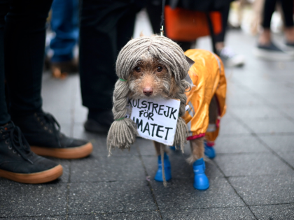 Greta Thunberg dog