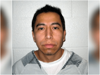 An illegal alien was convicted of multiple sex crimes, including …
